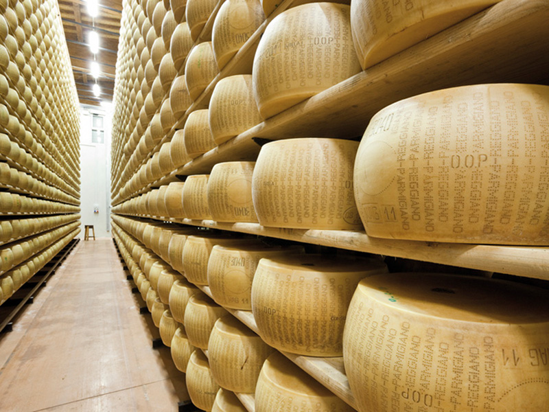 The long aging of the Parmigiano Reggiano